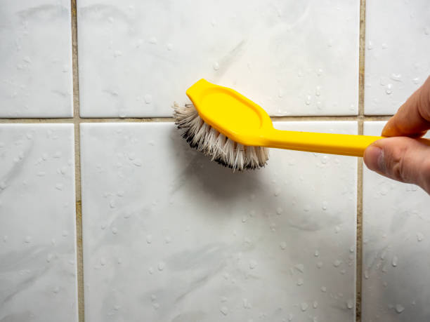 Best Office Mold Removal Services  in Wainaku, HI